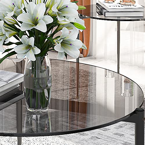 Artloge Round Tempered Glass Table: 31.5 inch Large Circle Top Storage Shelf with Metal Frame, Modern Coffee Table Center Desk Luxury Furniture for Living Room, Grey