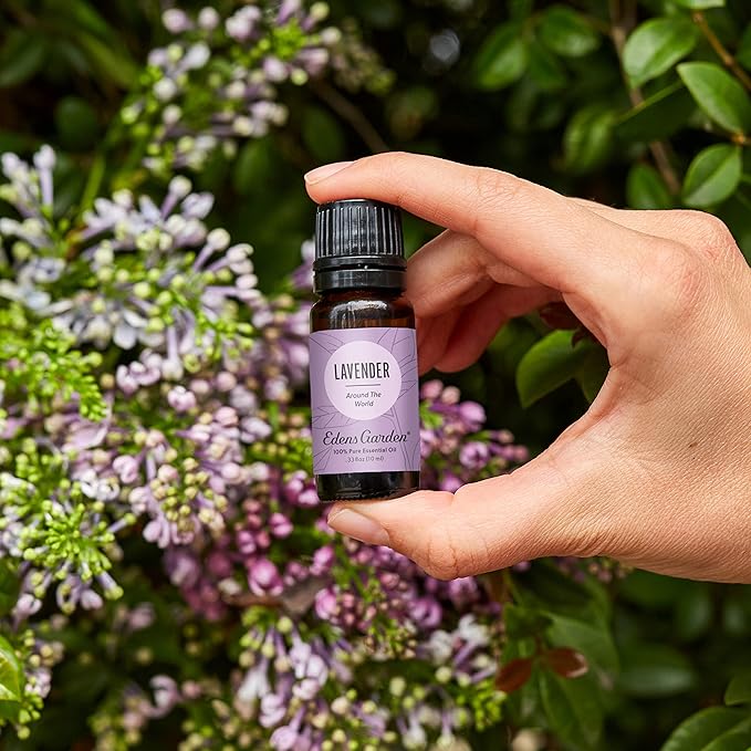 Edens Garden Lavender Around The World Essential Oil- 100% Pure Premium Grade, Undiluted, Natural, Therapeutic, Aromatherapy, The Best for Diffuser, Skin, Face, Candle 30 ml (1 fl oz)