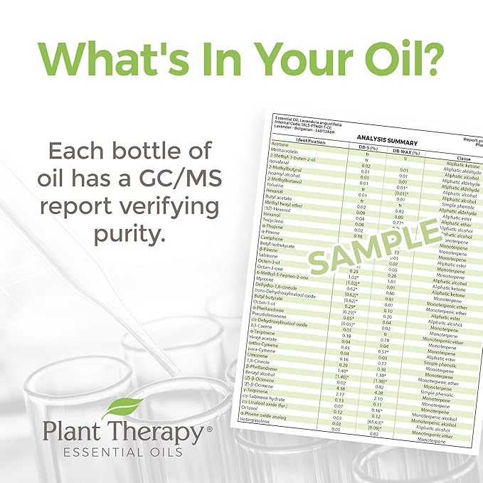 Plant Therapy Black Spruce Essential Oil 10 mL (1/3 oz) 100% Pure, Undiluted, Therapeutic Grade
