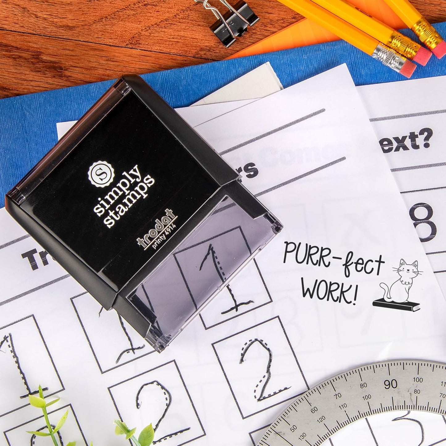 Custom Self-Inking Purr-FECT Work! Stamps | 49 Designs | Fun Phrases | Large Classroom, Teacher and Library Book Stamps