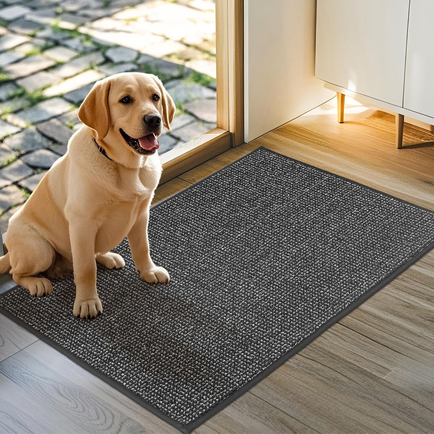 JSEI Dirt Trapper Door Mat 24"x36" Non-Slip Washable Entrance Mat, Dog Doormats, Absorbent & Fade-Resistant Floor Mats, Low Profile Welcome Mats for Entryway, Front Door, and Inside Entrance,Dark Grey